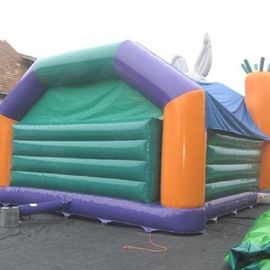 Επικεφαλής παιδιά μεγάλο Bouncy Castle αστεία 7.7m X 7.2m X 5.96m Rabit