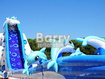 Μπλε ζωικές γιγαντιαίες δελφινιών διογκώσιμες νερού τεράστιες διογκώσιμες φωτογραφικές διαφάνειες μεγέθους φωτογραφικών διαφανειών ενήλικες