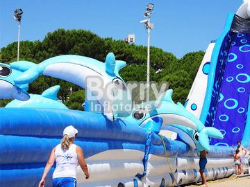Μπλε ζωικές γιγαντιαίες δελφινιών διογκώσιμες νερού τεράστιες διογκώσιμες φωτογραφικές διαφάνειες μεγέθους φωτογραφικών διαφανειών ενήλικες