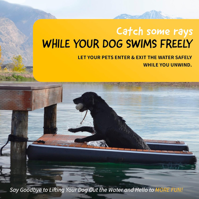 Προσαρμοσμένο λογότυπο Πνευματώδης πλωτή αποβάθρα DWF PVC Καπάκι Πνευματώδης ράμπα σκύλου για σκύλο κολύμπι