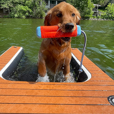 Ετικέτα Προσαρμοσμένο Αποδεκτό Δυνατό να Πυροβολήσει σκυλί σκάλα πισίνα για σκυλιά με εξαρτήματα συντήρησης