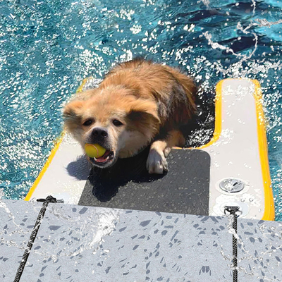 Υπερμεγέθης φουσκωτής ράμπας νερού για βάρκες, πισίνα για σκύλους φουσκωτή ελαφριά ράμπα σκύλου μαλακή σκάλα για σκύλους, πλατφόρμα Rung