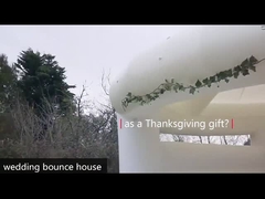 Λευκός γάμος Jumper Pvc Bouncy Κάστρο με διαδρόμιο και μπάλα Pit