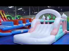 Πυροβόλο διαδρόμιο γάμου Combo Jumping Castle Slide