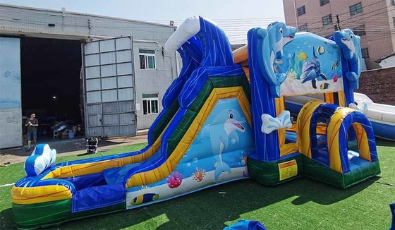 Προσαρμοσμένο δελφίνι άλμα σπίτι με διαφάνεια υποβρύχιο κόσμο θέμα άλμα κάστρο για παιδιά