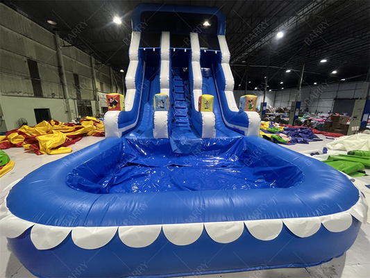 Πάρκο Ψυχαγωγίας Εξωτερικός Κήπος Μεγάλο Παιδί Φουσκωτές Διπλές Τσουλήθρες Νερού Για Εφήβους Αυλή