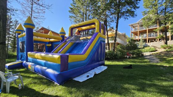 Πλάτωνα PVC φουσκωτός βουρτσός για παιδιά διασκέδαση / Jumping Castle Bounce House