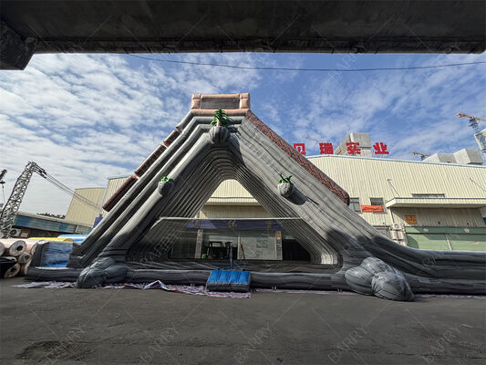 Γιγαντιαία Φουσκωτή Τσουλήθρα Νερού Εμπορικής Ποιότητας, Διπλής Λωρίδας με Τροπικό Θέμα για Λούνα Παρκ & Φεστιβάλ