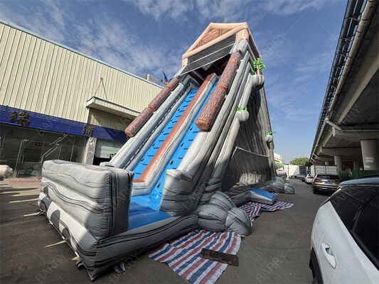 Γιγαντιαία Φουσκωτή Τσουλήθρα Νερού Εμπορικής Ποιότητας, Διπλής Λωρίδας με Τροπικό Θέμα για Λούνα Παρκ & Φεστιβάλ