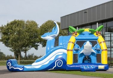 2 κάστρα 1 Bouncy δελφινιών στα μεγάλα διογκώσιμα με τη Wacky διπλή φωτογραφική διαφάνεια για Amucement