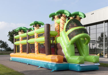 Μέγα χτύπημα Bouncy θέματος ζουγκλών Comercial - επάνω κόκκινες σφαίρες σειράς μαθημάτων εμποδίων